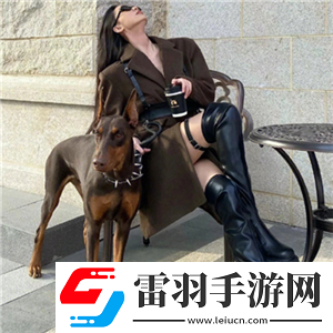 戏里戏外