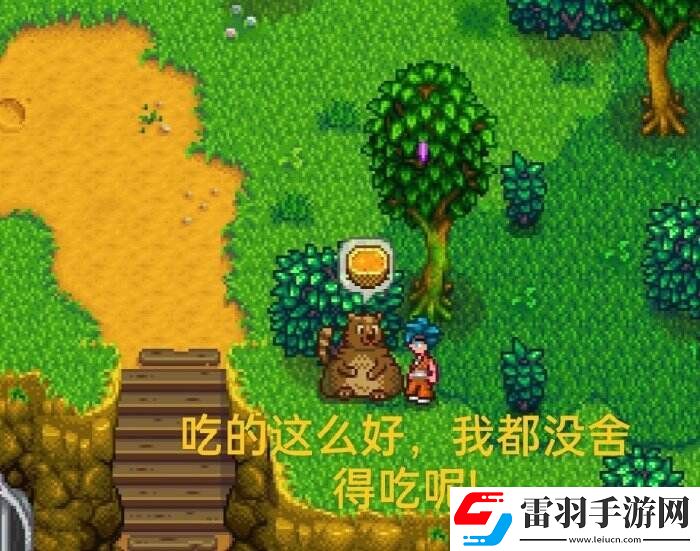 星露谷物语下水道旁边的熊什么时候出来
