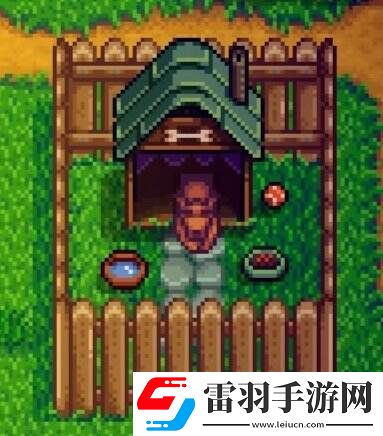 星露谷物语下水道旁边的熊什么时候出来