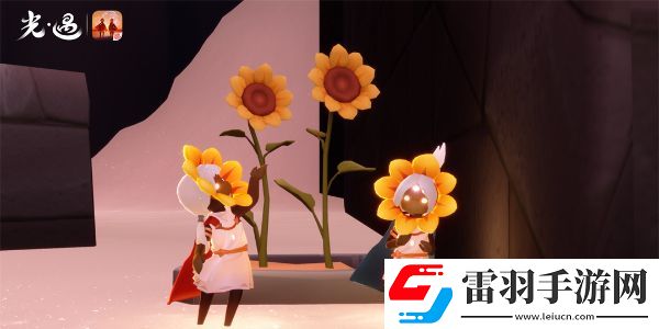 光遇运动会什么时候开始