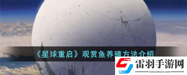 星球重启观赏鱼养殖方法介绍