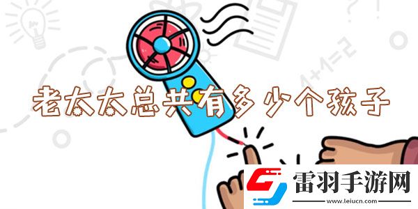 脑洞大师老太太总共有多少个孩子