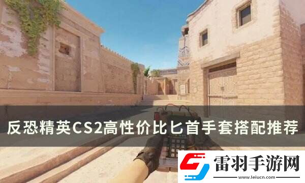 反恐精英CS2高性价比手套匕首怎么搭配