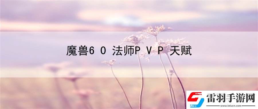 魔兽60法师PVP天赋