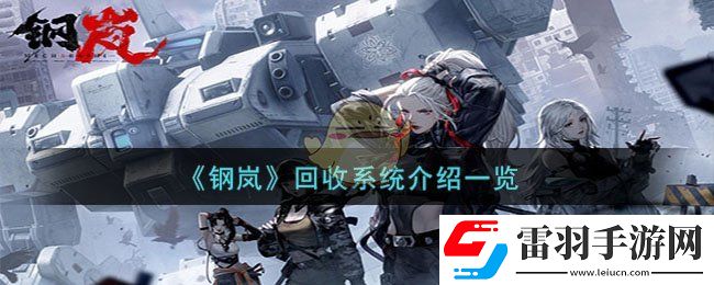 钢岚回收系统介绍一览