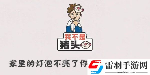 我不是猪头家里的灯泡不亮了你能帮忙修好吗攻略