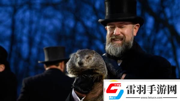 结果显示