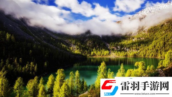 龙珠超