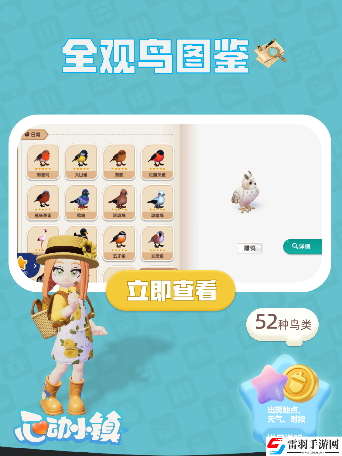心动小镇手游观鸟全图鉴
