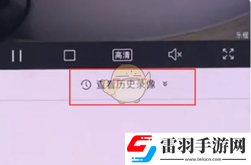 乐橙怎么看回放