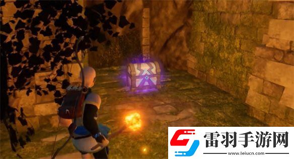 幻兽帕鲁6种特殊道具是什么