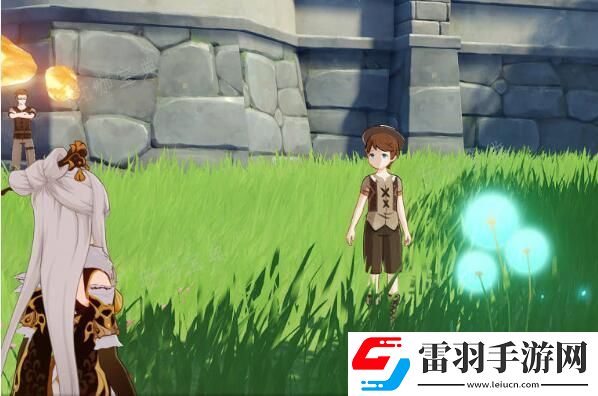 原神蒲公英籽位置图