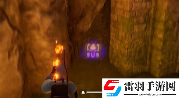 幻兽帕鲁6种特殊道具是什么