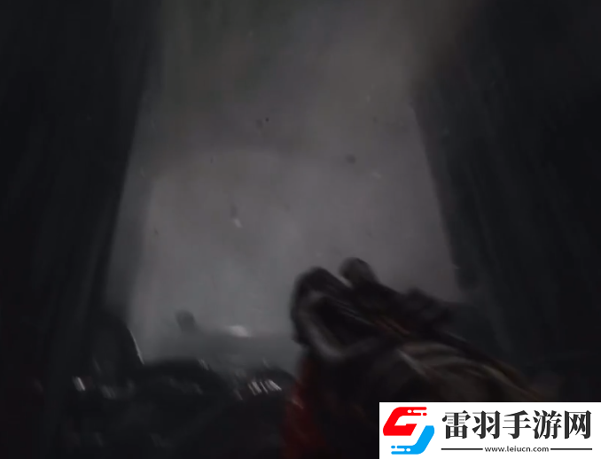 蔑视血肉武器有哪些