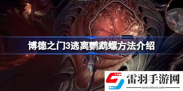 博德之门3逃离鹦鹉螺方法介绍