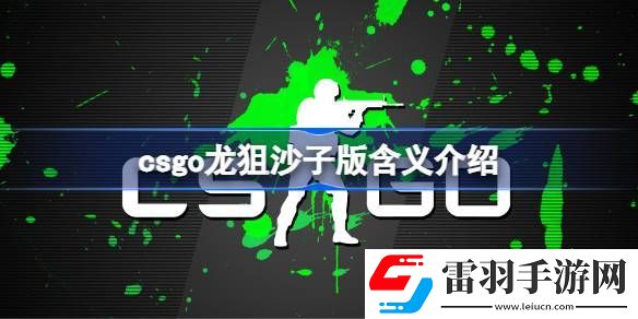 csgo龙狙沙子版什么意思