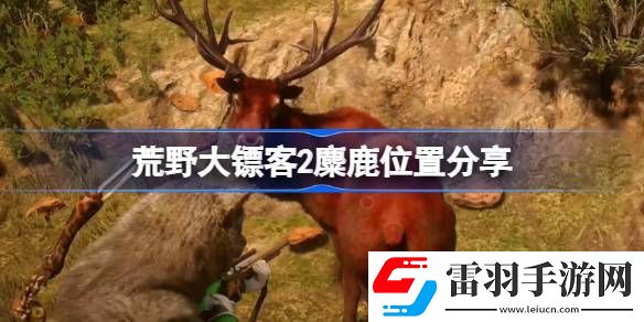 荒野大镖客2麋鹿哪里多