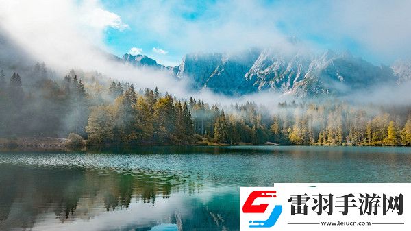植物大战僵尸杂交版