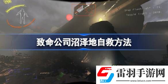致命公司沼泽地如何自救