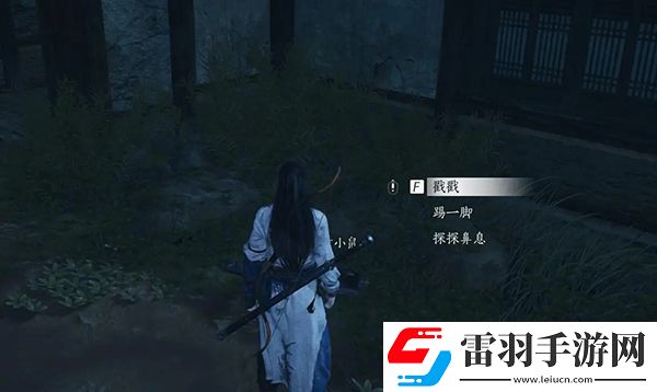 燕云十六声佛花与鼠任务怎么过