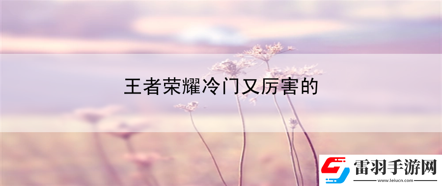 王者荣耀冷门又厉害的