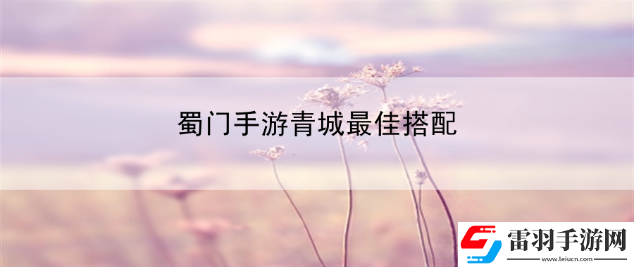 蜀门手游青城最佳搭配