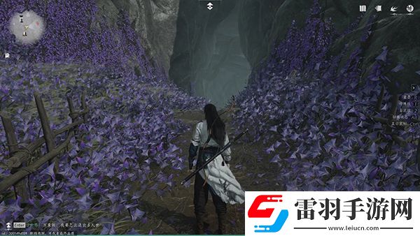 燕云十六声佛花与鼠任务怎么过