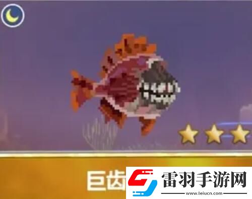 潜水员戴夫渔帆暗涌新增鱼类