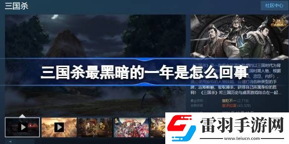 三国杀最黑暗的一年是怎么回事