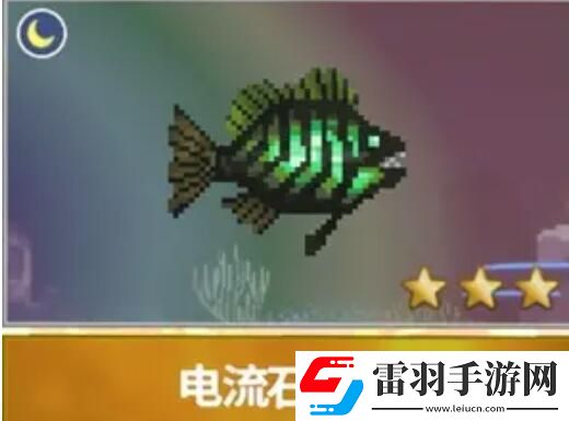 潜水员戴夫渔帆暗涌新增鱼类