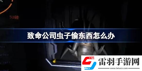 致命公司虫子偷东西怎么办