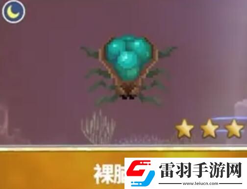 潜水员戴夫渔帆暗涌新增鱼类