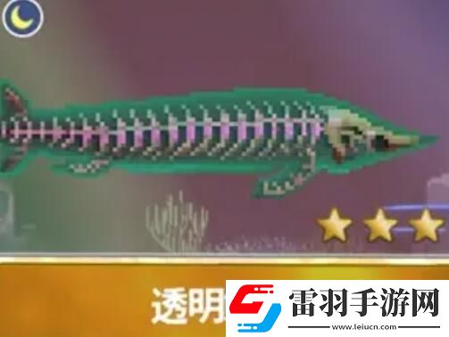 潜水员戴夫渔帆暗涌新增鱼类
