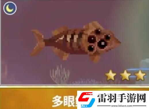 潜水员戴夫渔帆暗涌新增鱼类