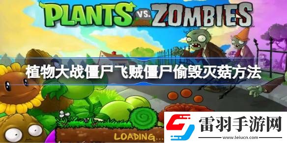 植物大战僵尸飞贼僵尸偷毁灭菇方法