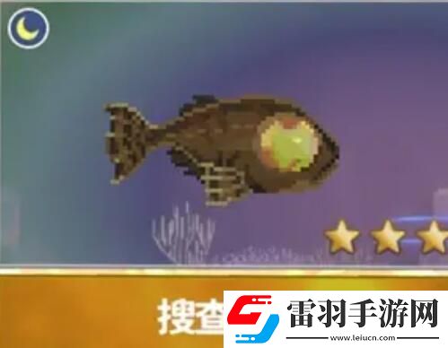 潜水员戴夫渔帆暗涌新增鱼类
