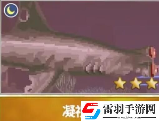 潜水员戴夫渔帆暗涌新增鱼类