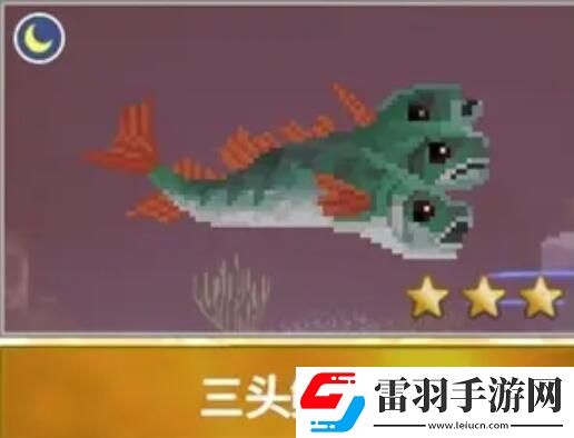 潜水员戴夫渔帆暗涌新增鱼类