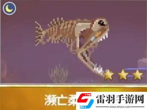 潜水员戴夫渔帆暗涌新增鱼类