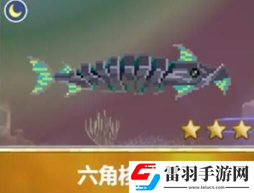 潜水员戴夫渔帆暗涌新增鱼类
