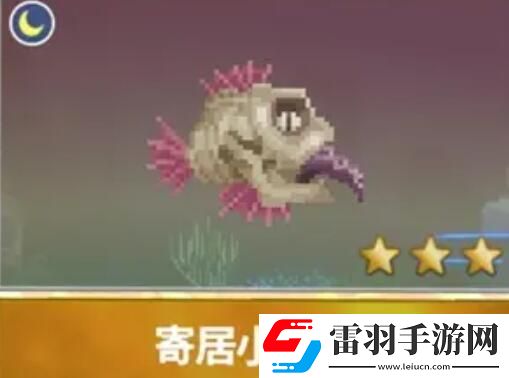 潜水员戴夫渔帆暗涌新增鱼类