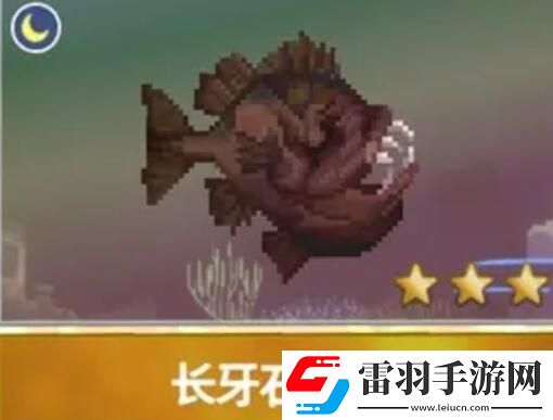 潜水员戴夫渔帆暗涌新增鱼类