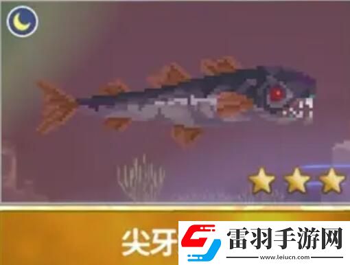 潜水员戴夫渔帆暗涌新增鱼类