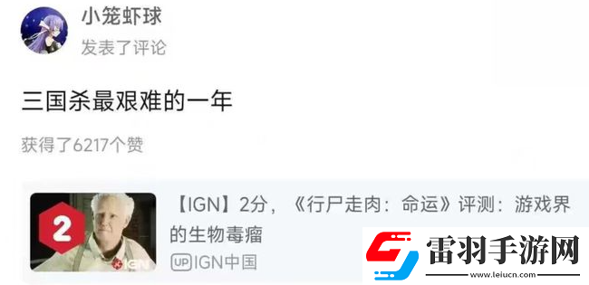 三国杀最黑暗的一年是怎么回事