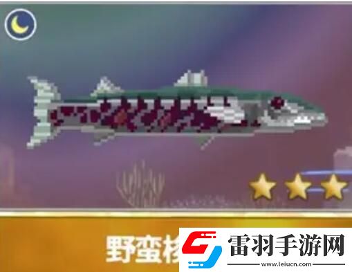 潜水员戴夫渔帆暗涌新增鱼类
