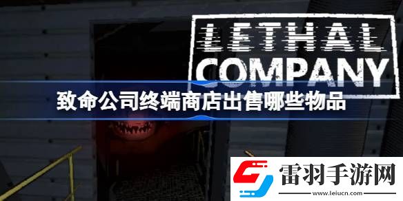 致命公司终端商店出售哪些物品