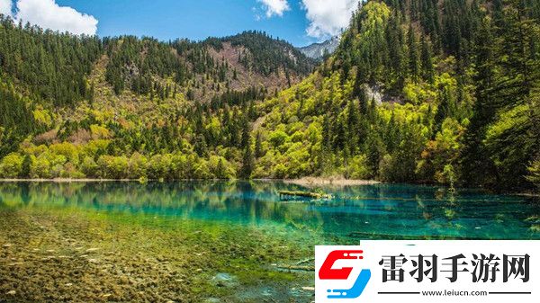 崩坏星穹铁道