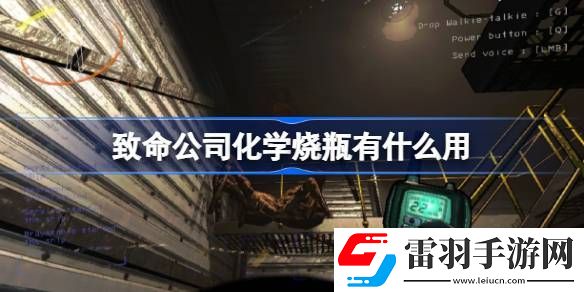 致命公司化学烧瓶有什么用