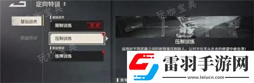 钢岚定向特训攻略