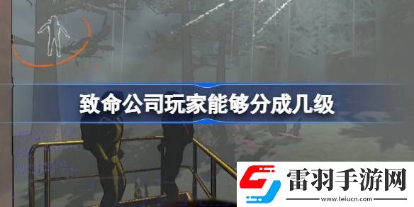致命公司玩家能够分成几级